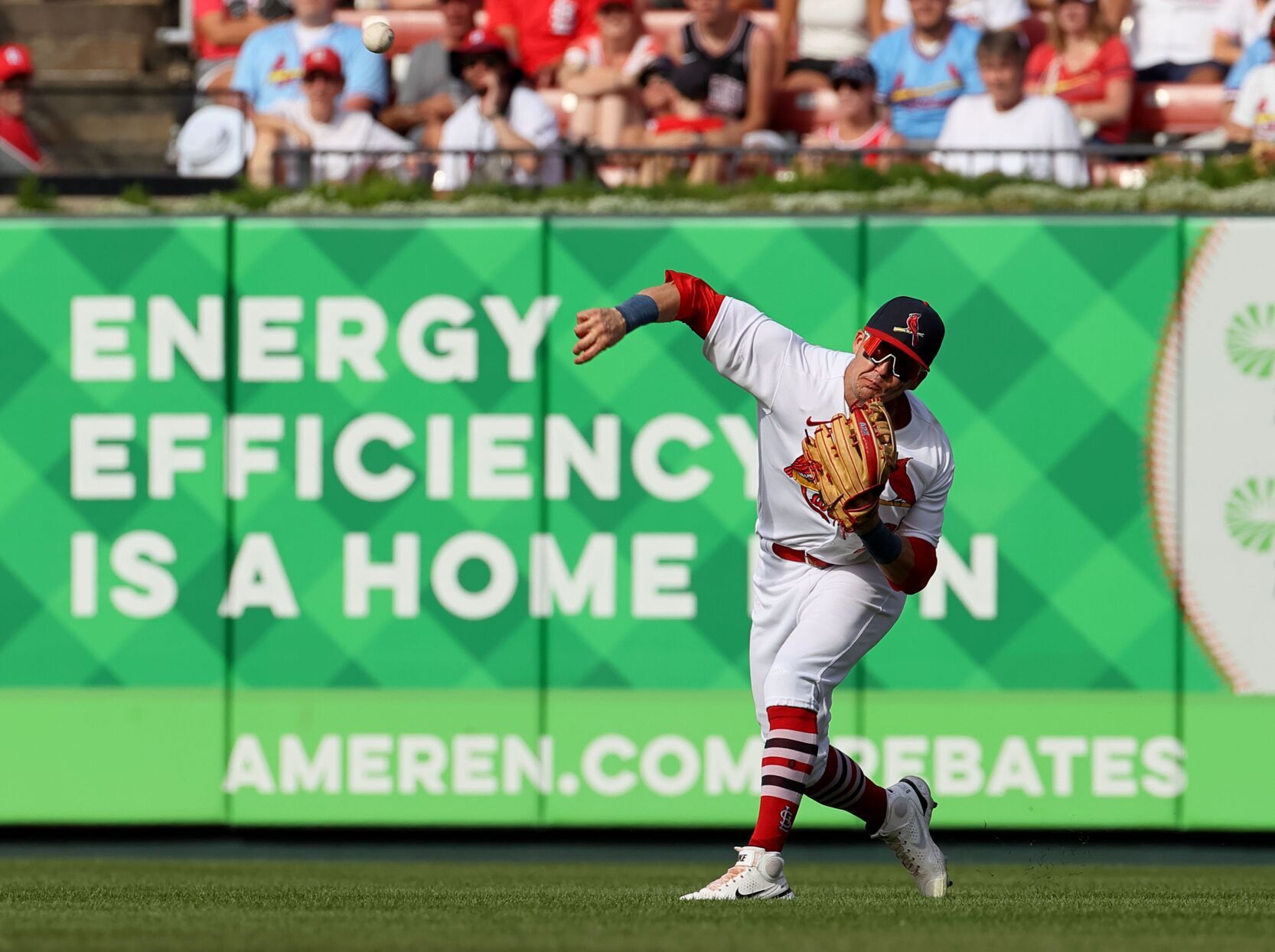 Cincinnati Reds vs St. Louis Cardinals